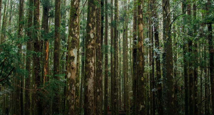 蘇州建技,JAGPACK 蘇州建技,JAGPACK